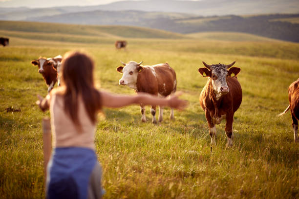 Ramai Idul Adha, Adakah Gerakan Veganisme di Indonesia? (2024)
