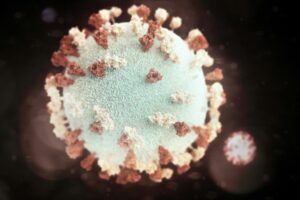 Ilustrasi West Nile