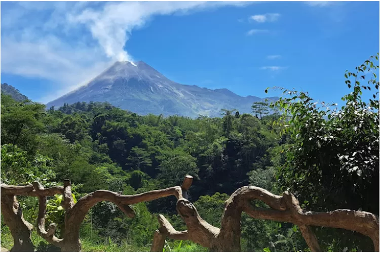 Pemandangan Taman Nasional Tankaman