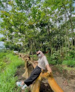 Taman Nasional Tankaman