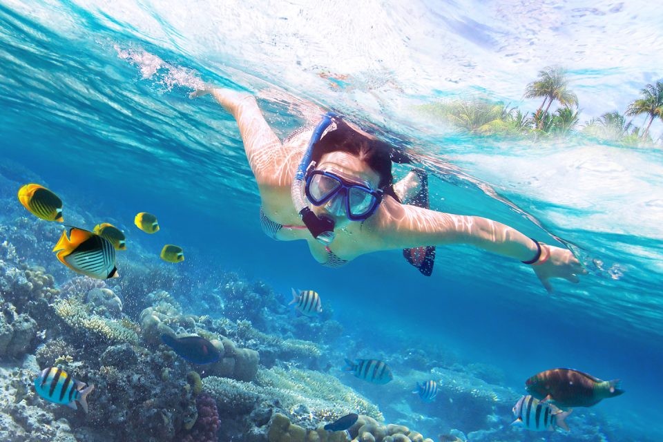 Pantai Maya Bay Thailand: Keindahan Tersembunyi yang Memikat Dunia (2024)